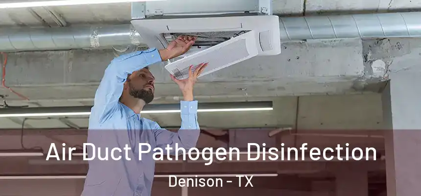 Air Duct Pathogen Disinfection Denison - TX