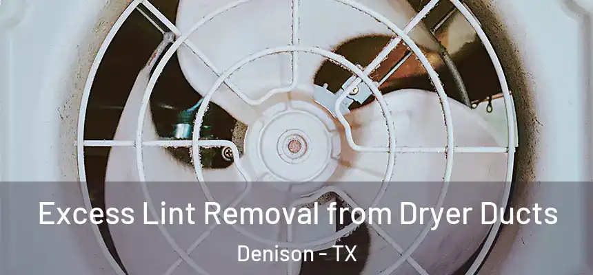  Excess Lint Removal from Dryer Ducts Denison - TX