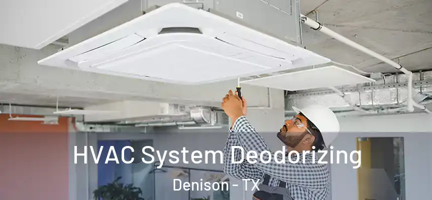  HVAC System Deodorizing Denison - TX