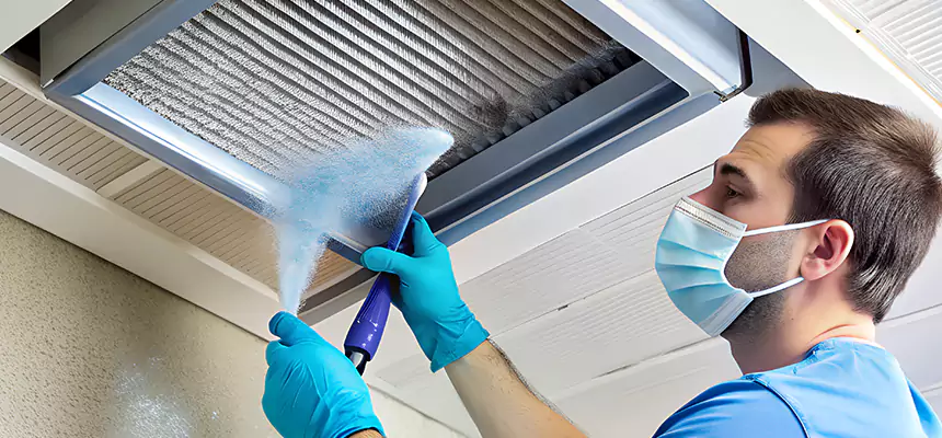 Proactive Dryer Vent & Auxiliary Duct Pollen Cleanup in Denison, TX