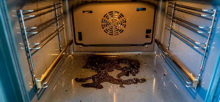 Our Dryer Vent Mold Cleaning Services in Denison, TX