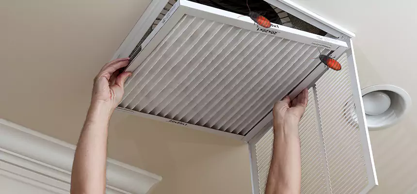 Our Insect Removal from Air Ducts Services in Denison, TX