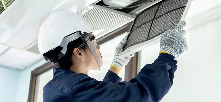 Our Mold & Mildew Removal from Air Ducts Services in Denison, TX