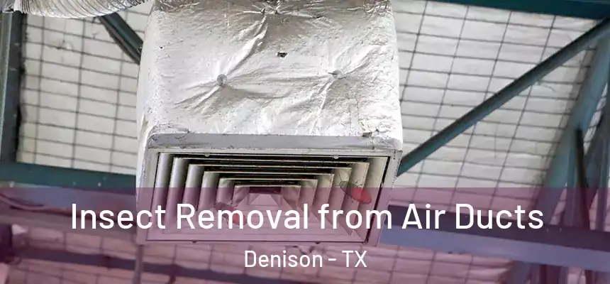 Insect Removal from Air Ducts Denison - TX