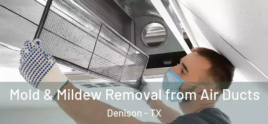  Mold & Mildew Removal from Air Ducts Denison - TX