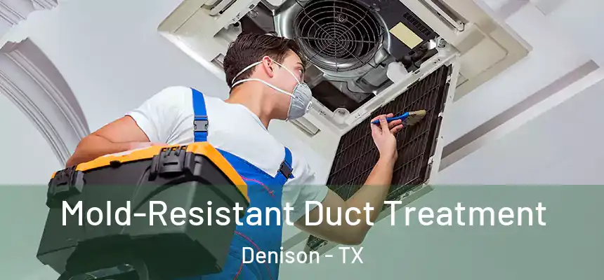 Mold-Resistant Duct Treatment Denison - TX