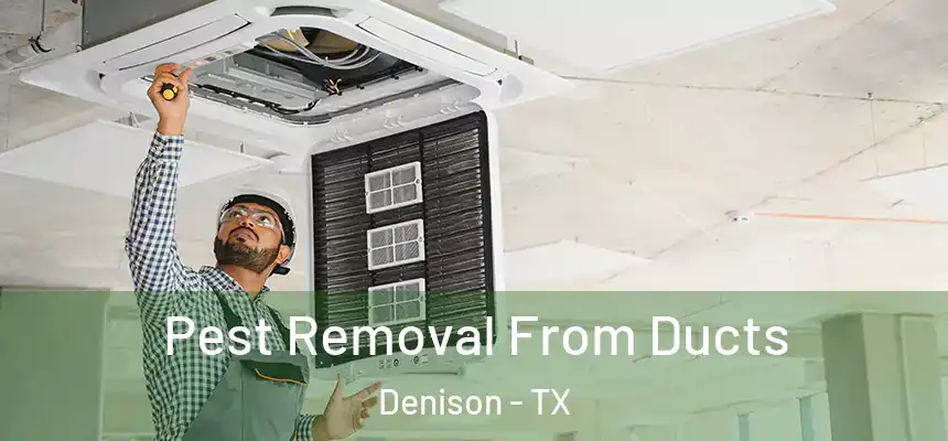 Pest Removal From Ducts Denison - TX