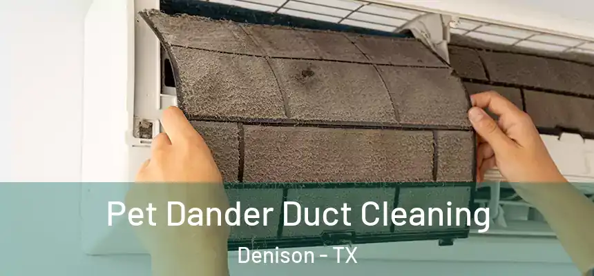  Pet Dander Duct Cleaning Denison - TX