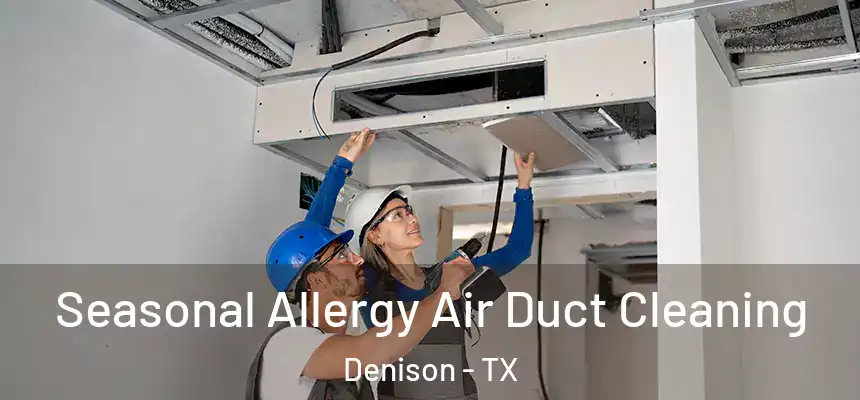 Seasonal Allergy Air Duct Cleaning Denison - TX