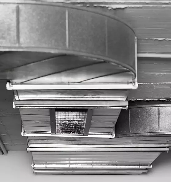 Professional Air Duct Pest Removal in Denison, TX