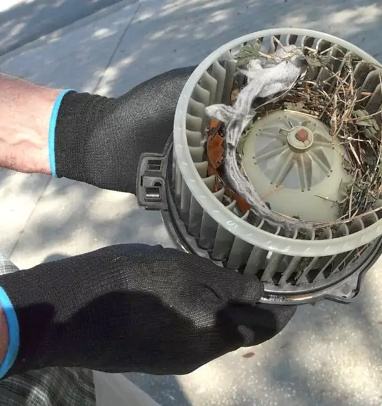 About Air Duct Rat Removal in Denison, TX