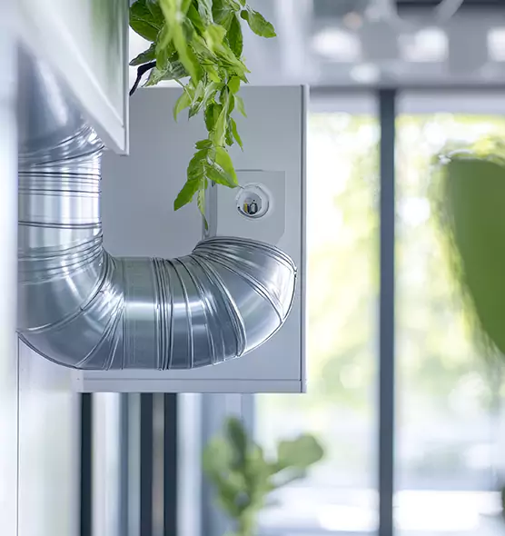 Professional Eco-Safe Dryer Vent Cleaning in Denison, TX