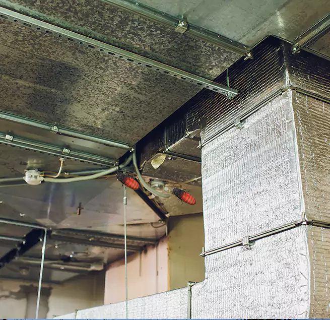 Why Homeowners & Businesses Trust Us in Denison, TX?