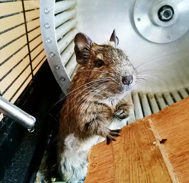 Why Homeowners & Businesses Trust Us Denison, TX?