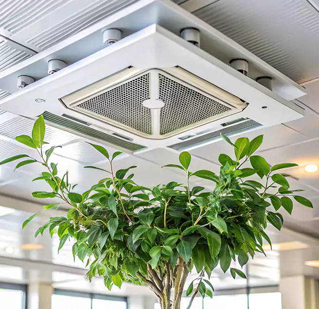 Why Homeowners & Businesses Trust Us in Denison, TX