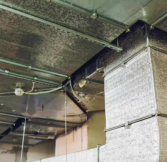 Why Homeowners & Businesses Trust Us in Denison, TX?